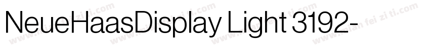 NeueHaasDisplay Light 3192字体转换